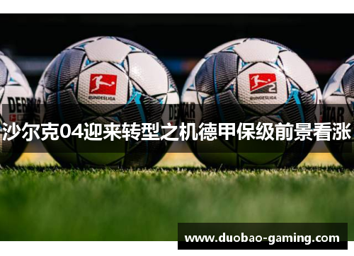 沙尔克04迎来转型之机德甲保级前景看涨