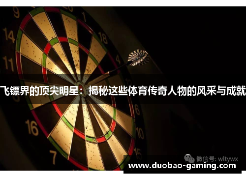 飞镖界的顶尖明星：揭秘这些体育传奇人物的风采与成就